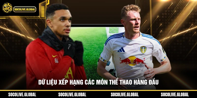 Dữ liệu xếp hạng các môn thể thao hàng đầu